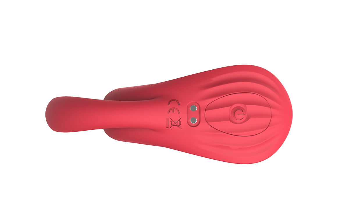 Acein Doppelstimulationsvibrator